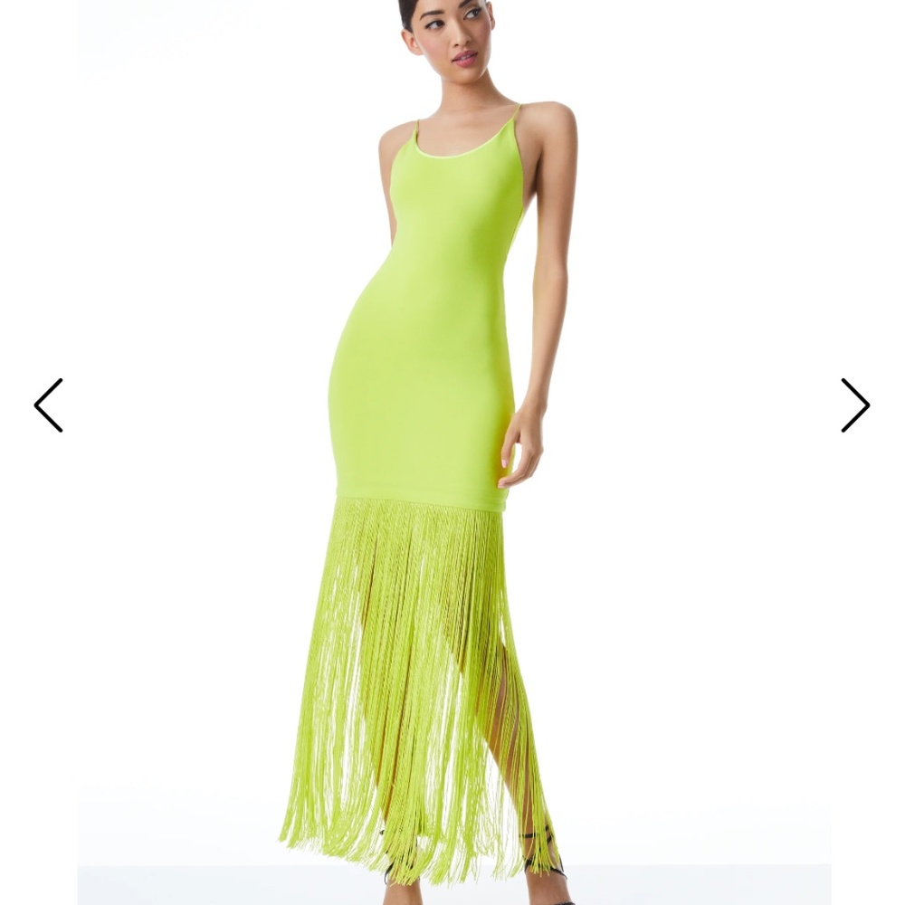 ALICE & OLIVIA CIRTON FRINGE DRESS